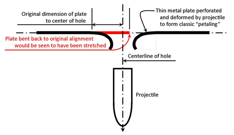 Theoretical petaling cross-section