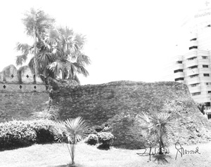 CMU No. 476
