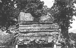 Payap P0416
