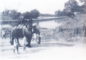 PUA, 1926
