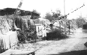 Payap 0232