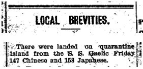 SS Gaelic at Quarantine Island