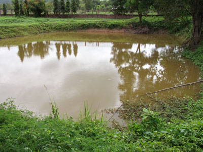 AuBauTau bomb site